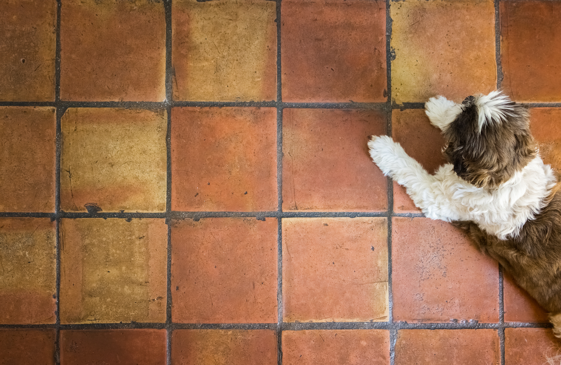 The Household Essential That'll Bring Your Grimy Tile Floors Back To Life